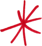 Canvassing asteric