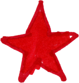 Canvassing Star